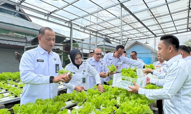 Dukung Penuh Ketahanan Pangan, Kakanwil Ditjenpas Lampung dan Kalapas Panen Anggur serta Pakcoy di Lapas Kelas I Bandar Lampung