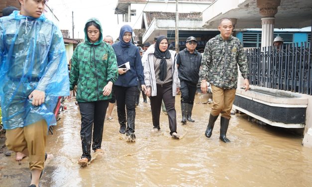 Walikota Bandar Lampung Eva Dwiana Meninjau lokasi terdampak banjir di kecamatan panjang