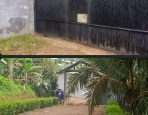 Penambahan Dua Lokal Kandang Ayam di Desa Ujung Tebu Kecamatan Ciomas Diduga Tak Kontongi Ijin