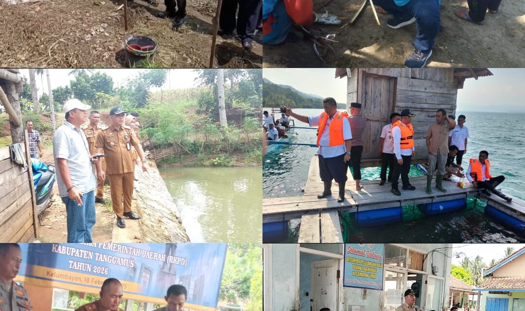 Dinas Perikanan Tanggamus Terus Berinovasi: Wujud Nyata Pembangunan Pesisir Menuju Ekonomi Biru