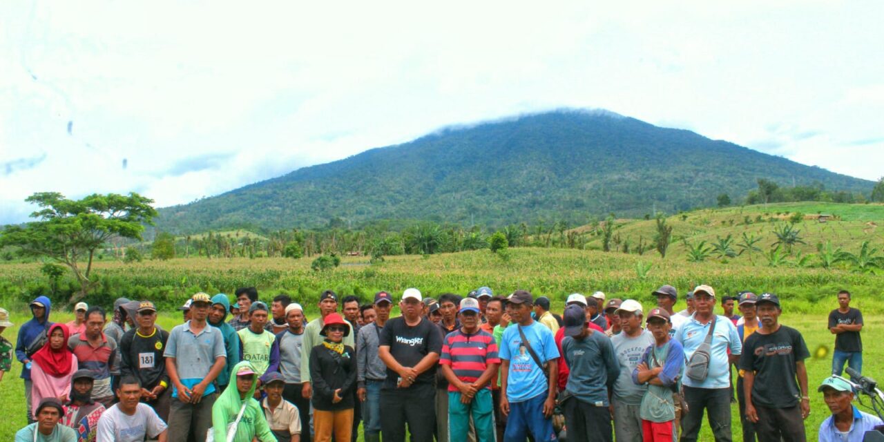 Masyarakat Marga Buay Nyata Pasang Patok Batas Wilayah Adat di Eks HGU PT. Tanggamus Indah