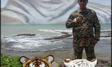 Diduga Pasang WiFi Ilegal, DPP Bela Negara Turun Tangan — Hambali Naikkan Status Investigasi