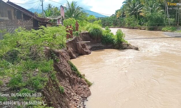 Darurat! Tanggul Nyaris Sentuh Rumah Warga Pekon Negara Batin, Penanganan Ditunggu