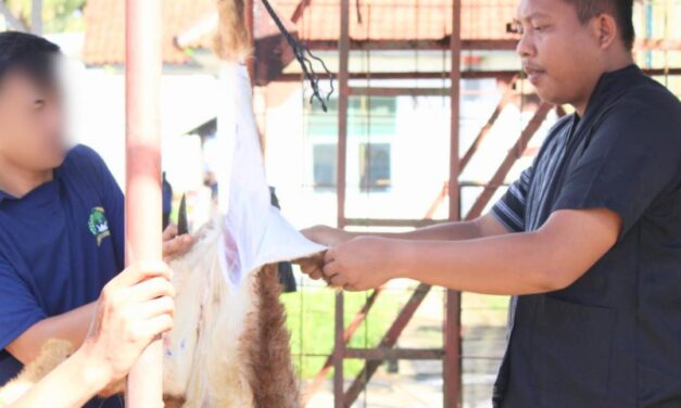 Lapas Kotaagung Rayakan Idul Adha dengan Salat Eid dan Kurban Bersama Warga Binaan