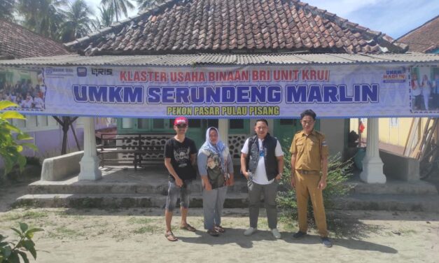 Menerjang Ombak Demi Peningkatan Ekonomi di Pulau Pisang, BRI Unit Krui Kanca Liwa Hadir Layani Masyarakat