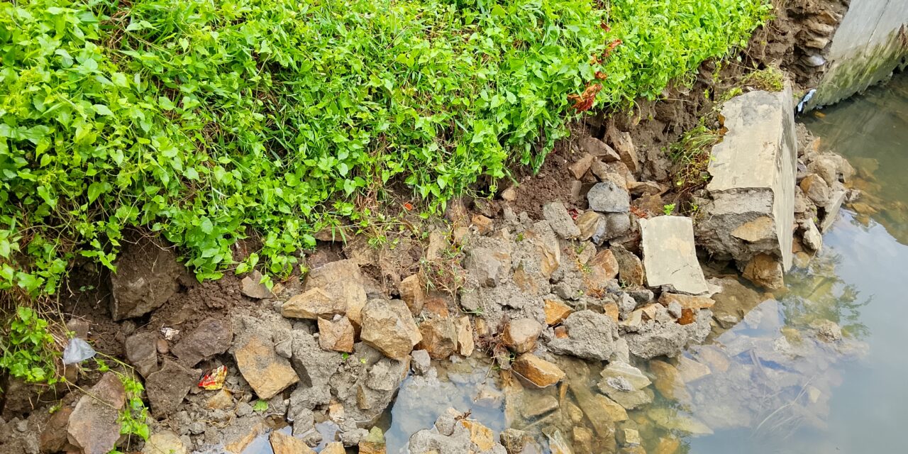 Talud Kali Begho Terancam Ambruk, Lurah Pasar Madang Turun Langsung Pastikan Penanganan Darurat