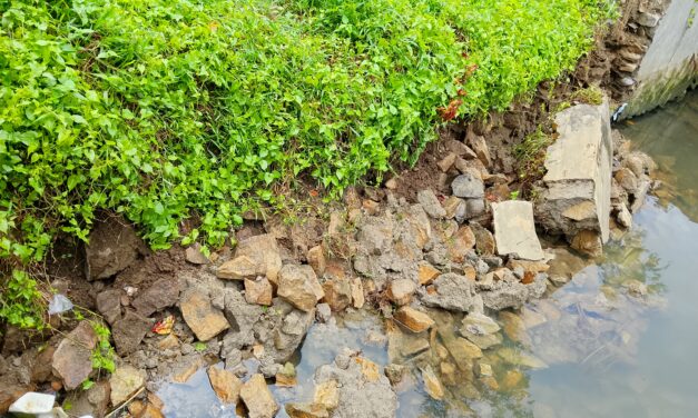 Talud Kali Begho Terancam Ambruk, Lurah Pasar Madang Turun Langsung Pastikan Penanganan Darurat