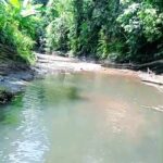 KRONOLOGI DUGAAN PERUSAKAN DAN PENIMBUNAN ANAK SUNGAI DI WILAYAH ADAT MUARA MALUNGAI