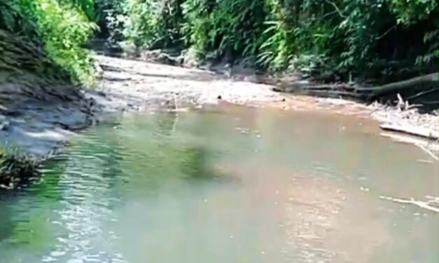 KRONOLOGI DUGAAN PERUSAKAN DAN PENIMBUNAN ANAK SUNGAI DI WILAYAH ADAT MUARA MALUNGAI