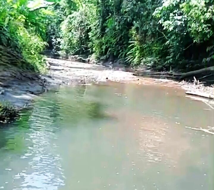 KRONOLOGI DUGAAN PERUSAKAN DAN PENIMBUNAN ANAK SUNGAI DI WILAYAH ADAT MUARA MALUNGAI